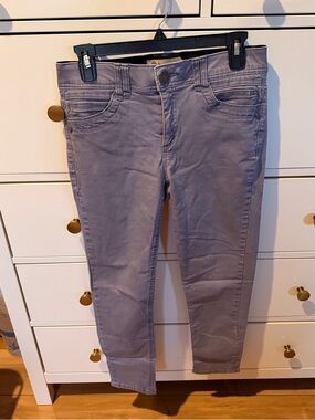 Democracy Skinny Pants